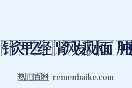 针灸甲乙经·肾风发风水面胕肿五是什么意思的图片